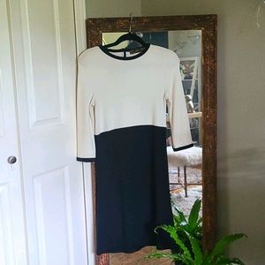 Zara Black and White Stunning Dress